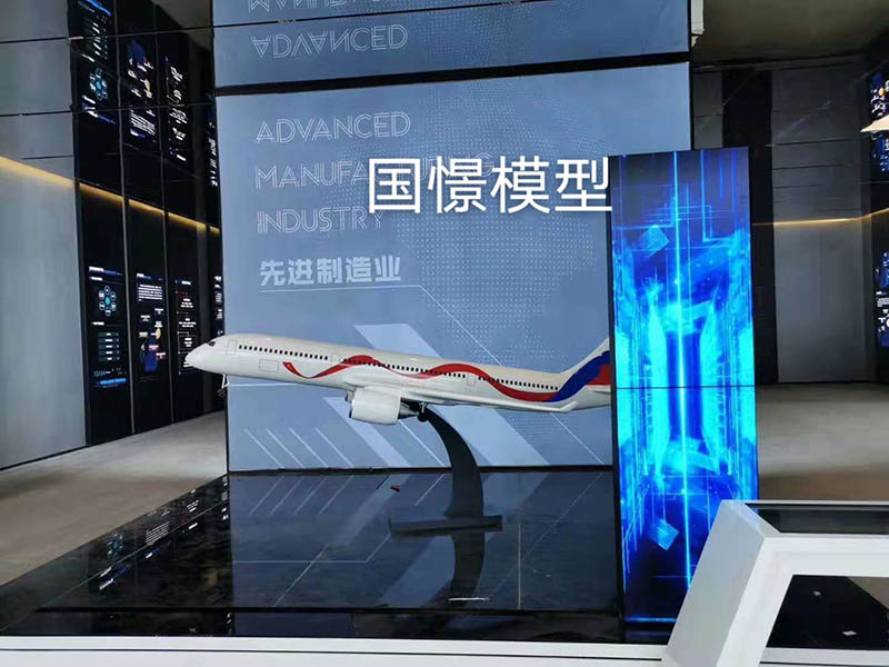 青川县飞机模型
