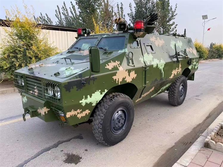 青川县军事模型